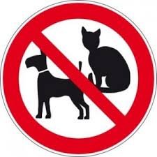 Pictogramme animaux domestiques interdits